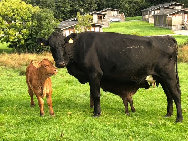 Shepherds Cottage, Howe Farm