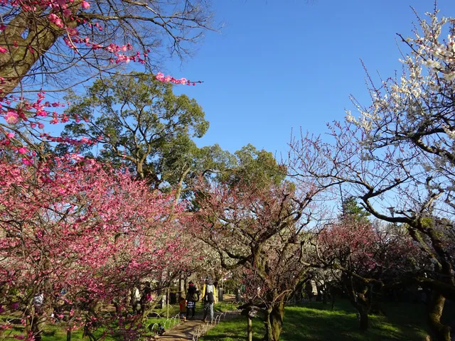 Baien (Ume Blossom Garden)