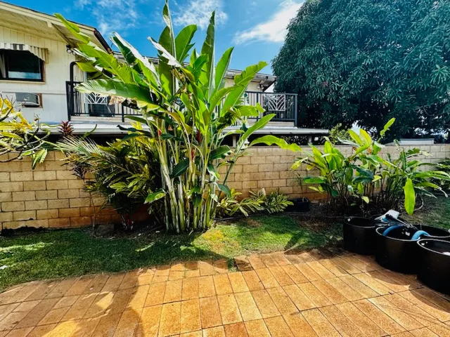 Roy's Lawn Mowing & Yard Services