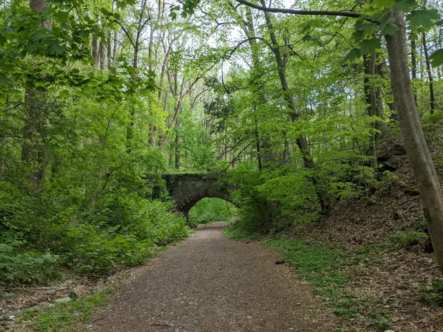 Mt. Airy Trail Entrance