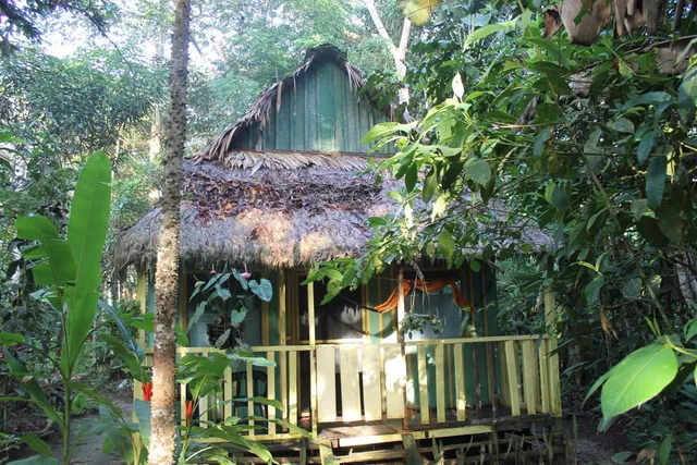 Omshanty Jungle Lodge