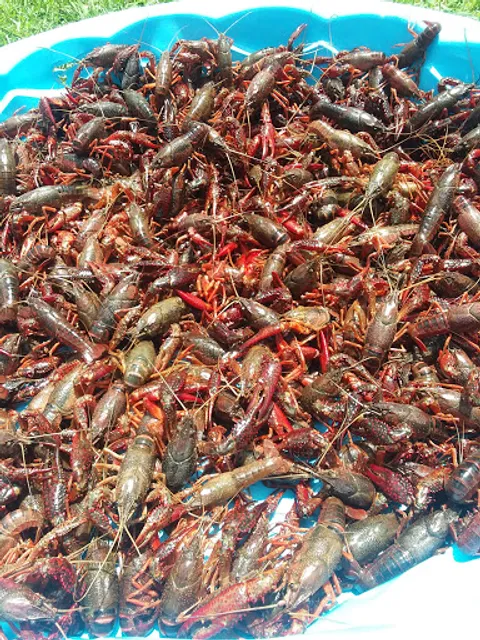 Ron's Seafood Market