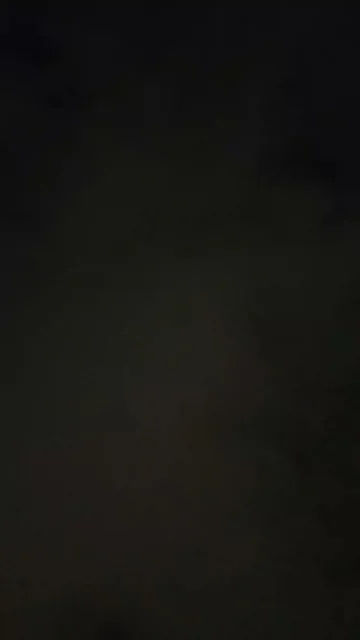 NASI BEBEK MADURA AZALI