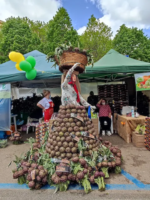 C&C Caffè in Cialde e Capsule