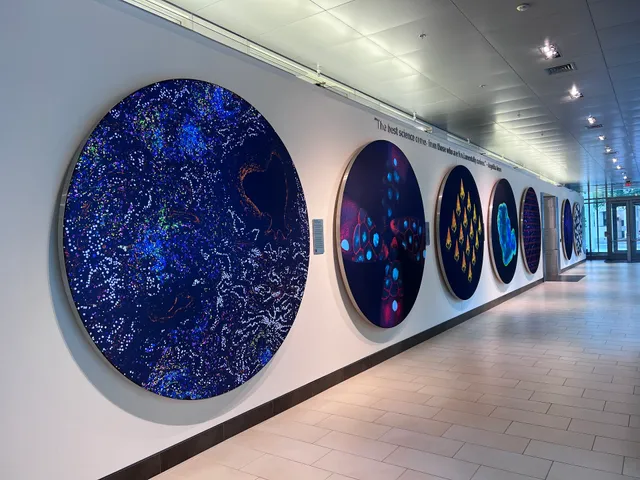 Koch Institute For Integrative Cancer Research at MIT