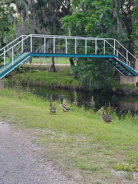 White Oak River Campground