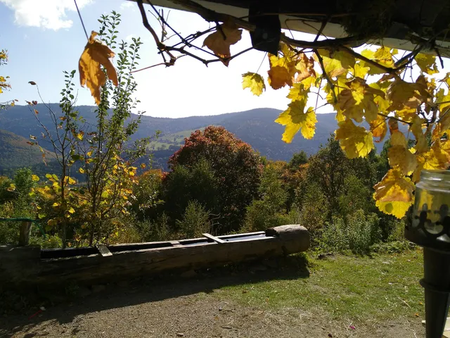 Camping/Gîte Lieu-Dit Im Berg, Sondernach