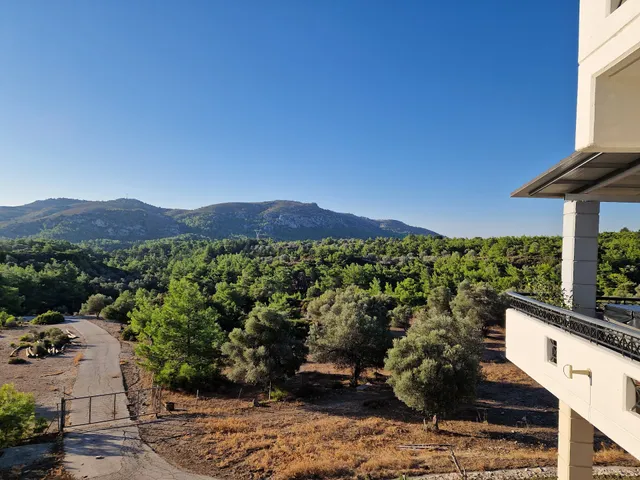 Elena's Country Home