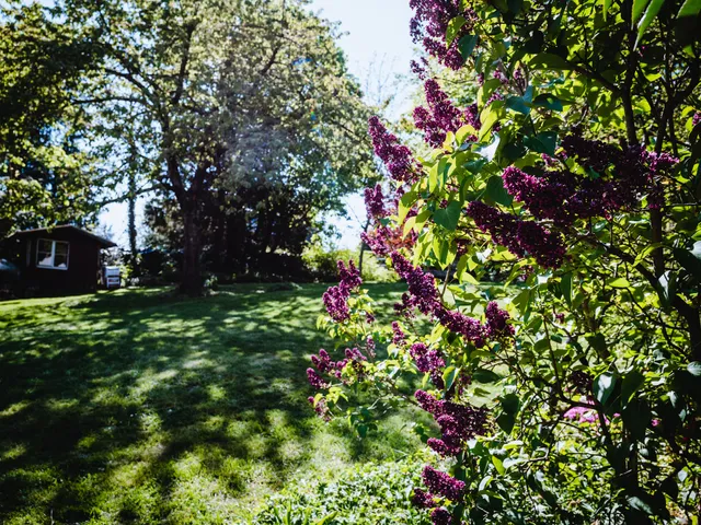 altes forsthaus schotten