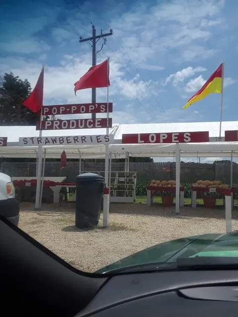 Pop-Pop's Produce