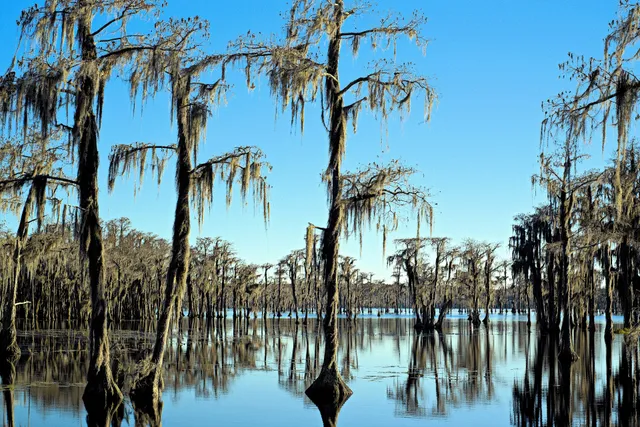 Banks Lake National Wildlife Refuge