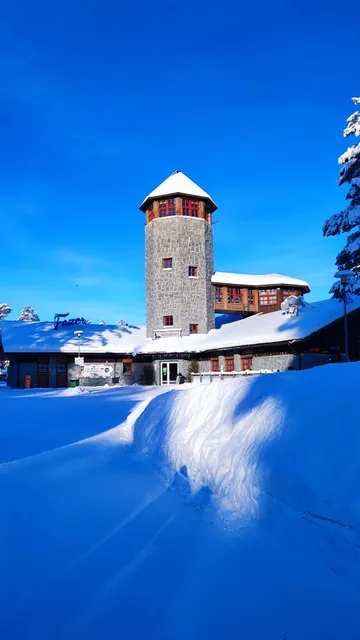 Wild Arctic Husky Park