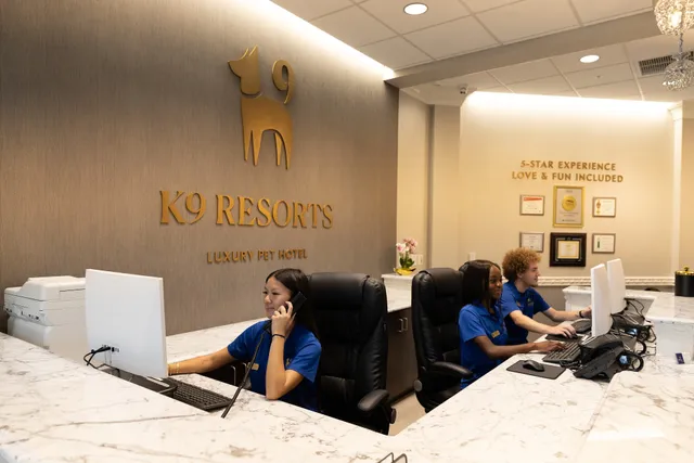 K9 Resorts Luxury Pet Hotel Pompano Beach