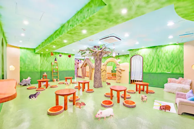 mipig cafe Harajuku