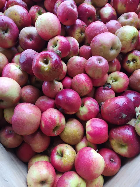 Association Vendéenne pour l'Utilisation Naturelle de Jus de Fruit