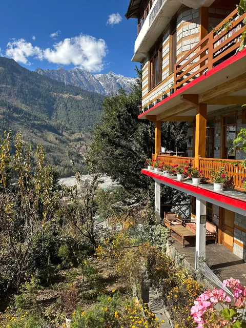 Into the Wild Adventures