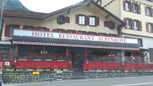 Alpenrose