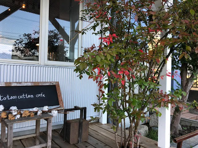 totan cotton café