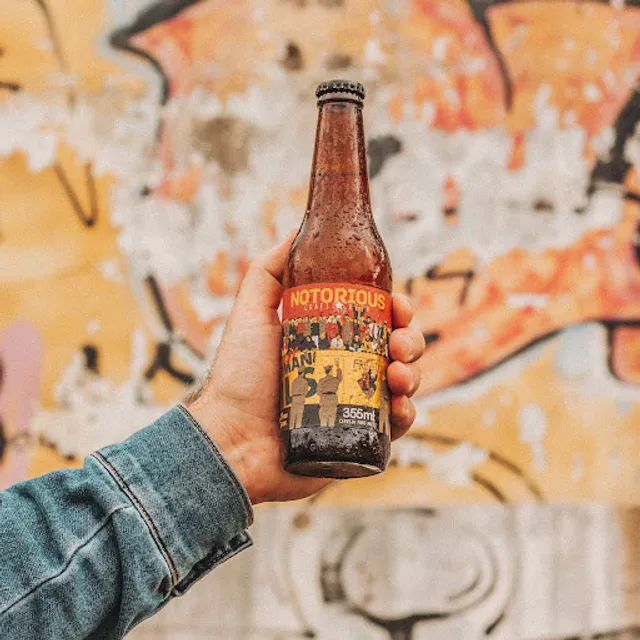 Cervejaria Notorious - Disk Chopp Itajaí