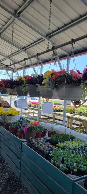 Buckwheats Farm Market