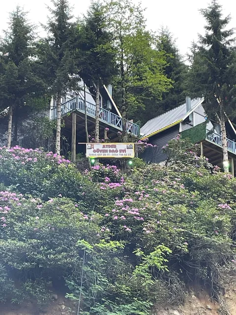 Ayder Güven Dağ Evi otel bongalow