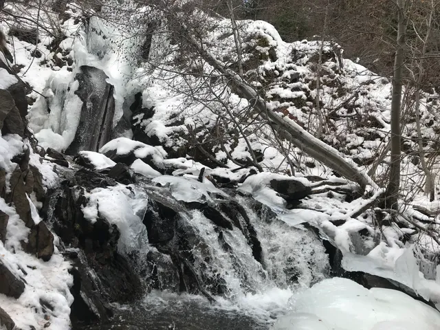 Mount Rose Wilderness Area