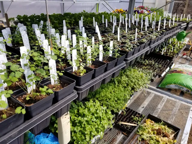 Wolf Creek Family Farm, LLC