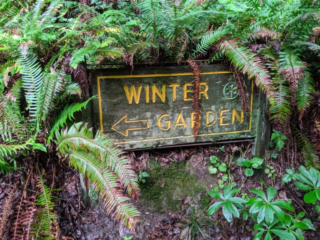 Winter Garden