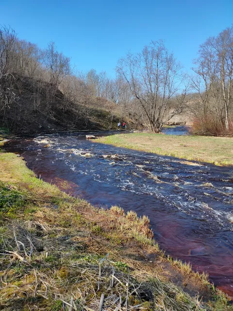 Назиевское городское поселение