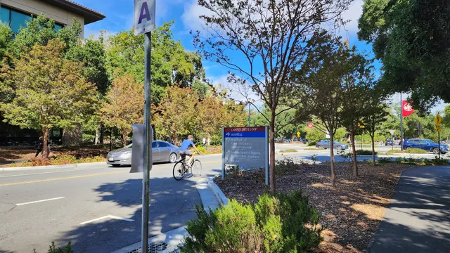 On Jane Stanford Way @ Hoover Tower