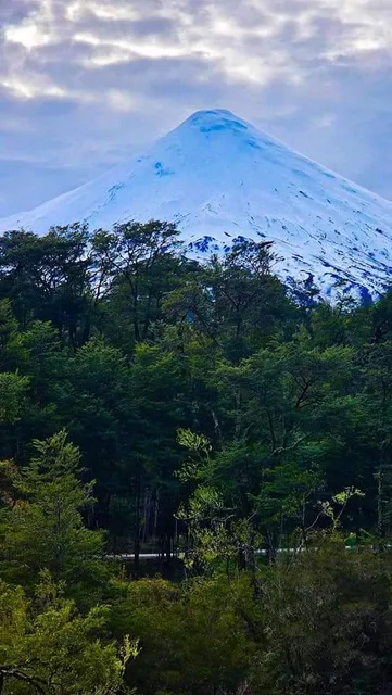 Parque Nacional Vicente Pérez Rosales - Acceso Sector Ensenada