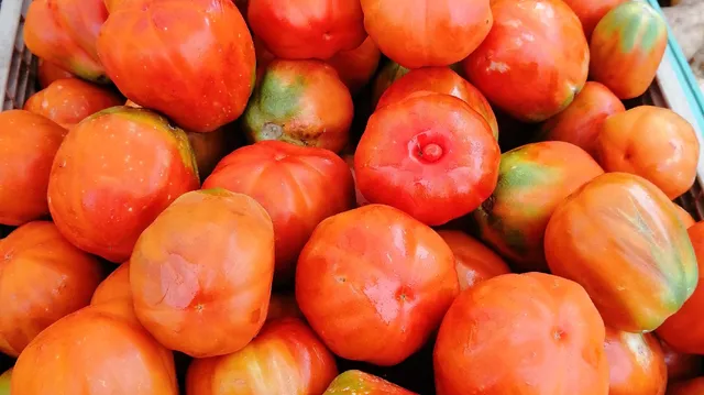 VILLA PIEROTTI - BAGNESCHI AGRITURISMO