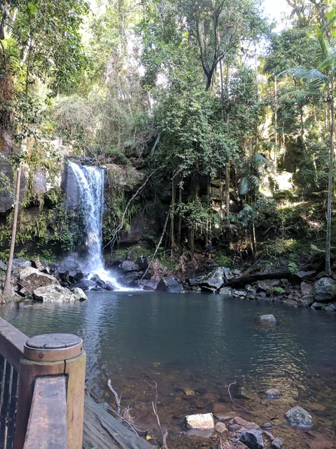 Curtis Falls Viewing Platform