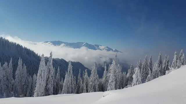 Pârtia Drumul Roșu