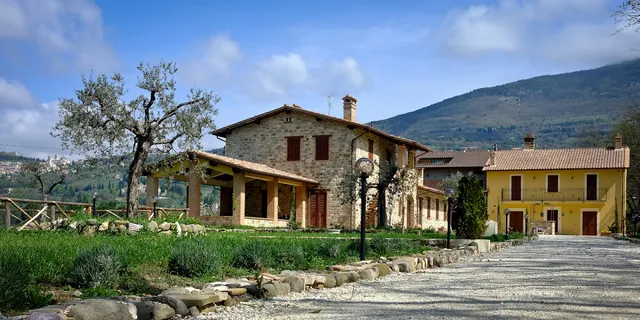 Sulla Strada di San Francesco