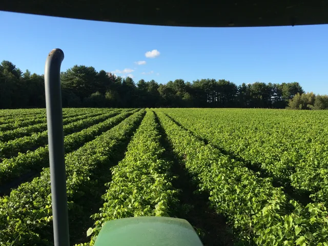 Northeastern Vine Supply, Inc.