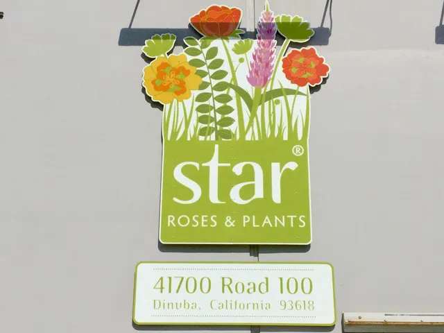Star Roses and Plants