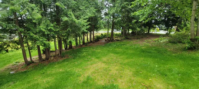 Jane Bowers Off-Leash Fenced Dog Park