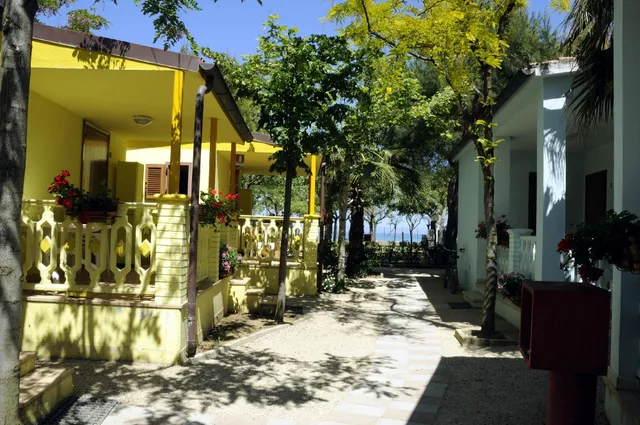 International Camp Torre Cerrano