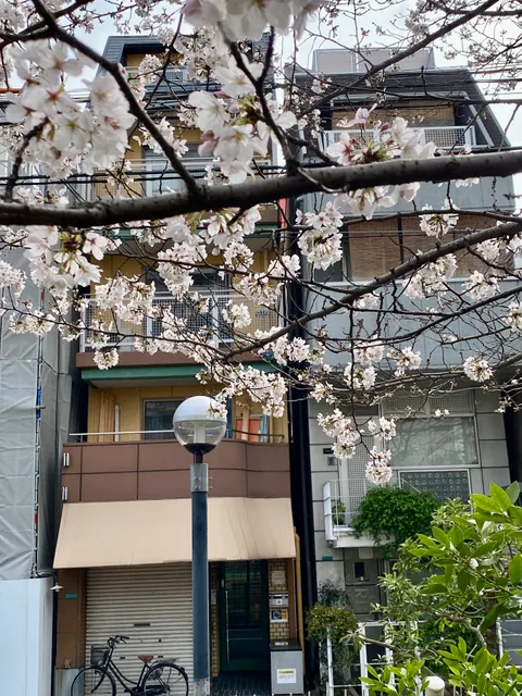 Joanna大阪民宿日本橋館