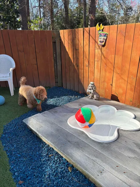 Graced Kennel Boarding, Daycare and Training