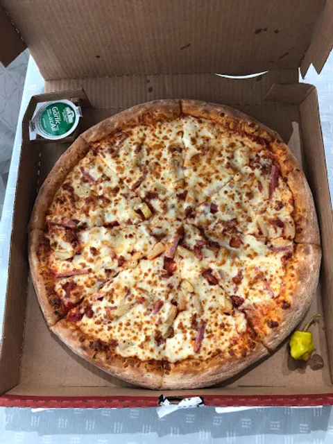 Papa Johns Pizza