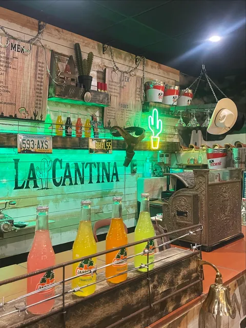 TEG KEBABS & BIRYANI