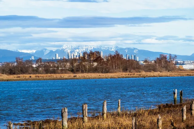 Terra Nova Viewpoint