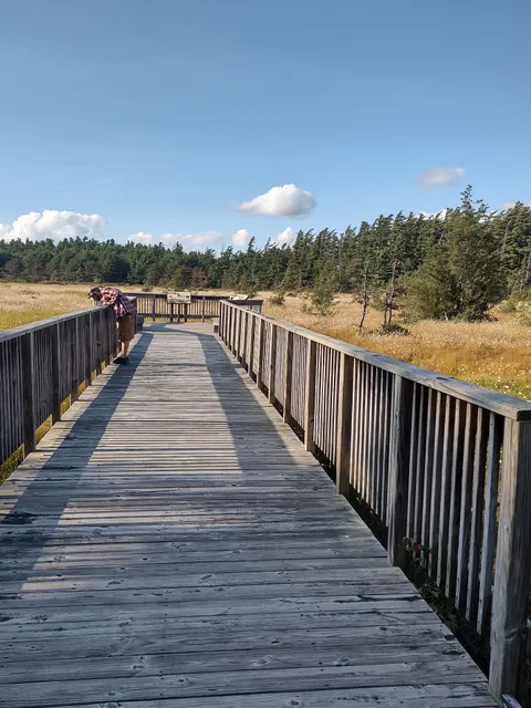 Forbes State Forest - Spruce Flats Bog and Wildlife Area