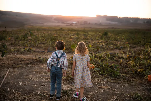 The Great Peter Pumpkin Patch