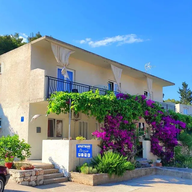 Apartments and rooms Brzica