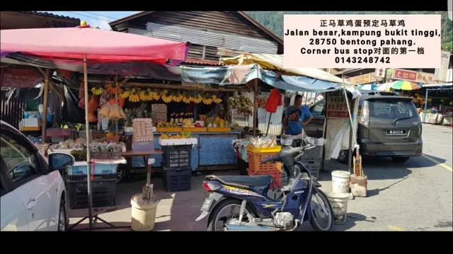 Fresh Egg Corner 正马草鸡蛋专卖档预定马草鸡