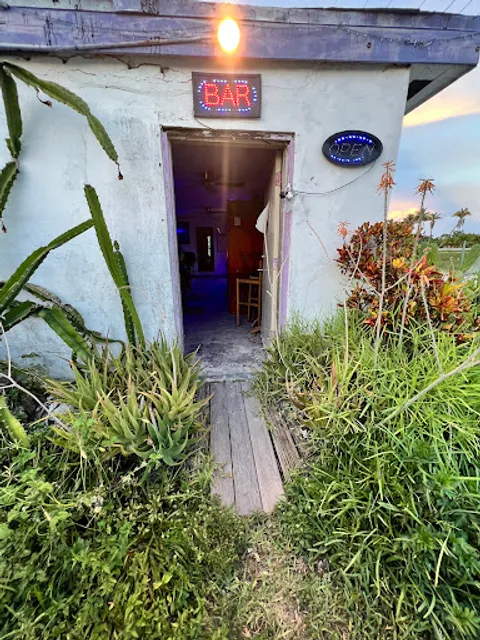 The Purple Porpoise Pub