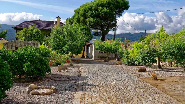 Quinta do Fundo de Vila - Zen Vouga